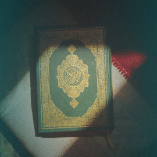 5 Beautiful Verses from the Quran on Charity 
