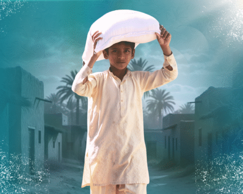 Why Does Imam Ali (as) Teach That Giving Back Is Greater Than Consuming? 