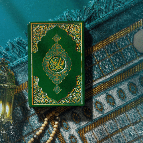 Protecting Human Dignity in Times of Crisis: An Islamic Perspective 